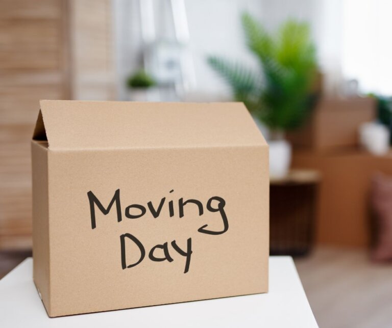 Photo of a cardboard box sitting on a white table with "Moving Day" written in black permanent marker on the side